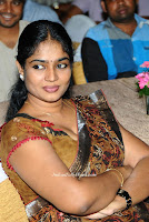 jayavani hot saree photos|teluguactress jayavani hot saree pics|artist jayavani hot saree stills 2 pic 3