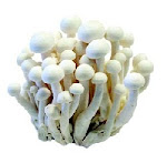 Shimejii Musrooms