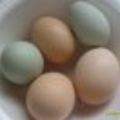 Our Chicken Eggs