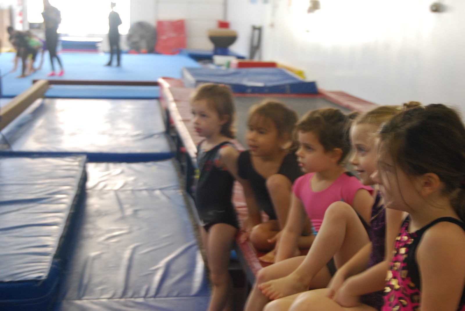 Nia's Blog Level 1 Gymnastics Team October 20