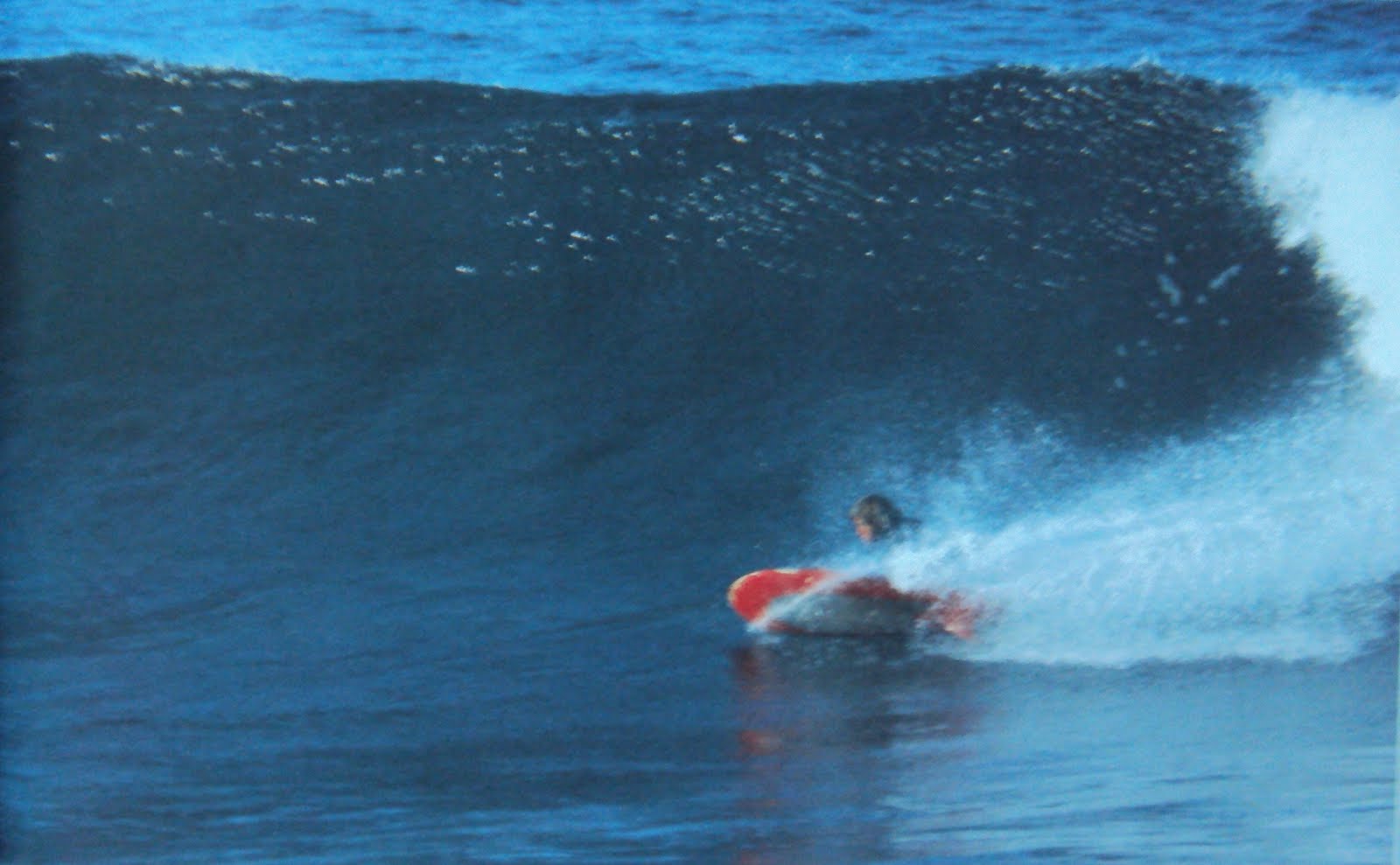 vintage surfboard collector UK Hayden spoon kneeboard