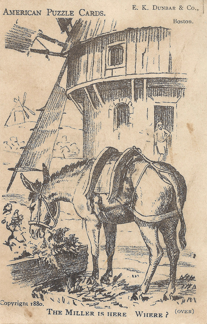 Optical Illusion Puzzle