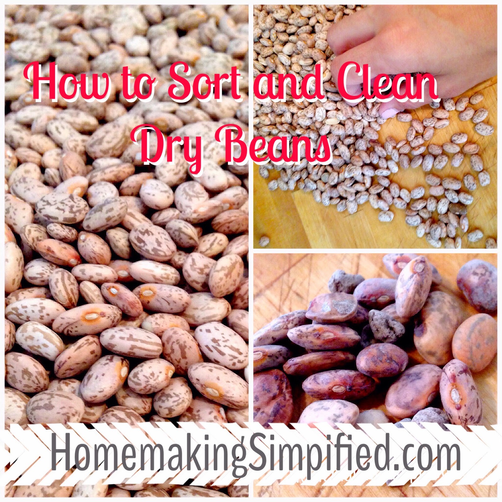Homemaking Simplified How to Sort and Clean Dry Beans Pictorial