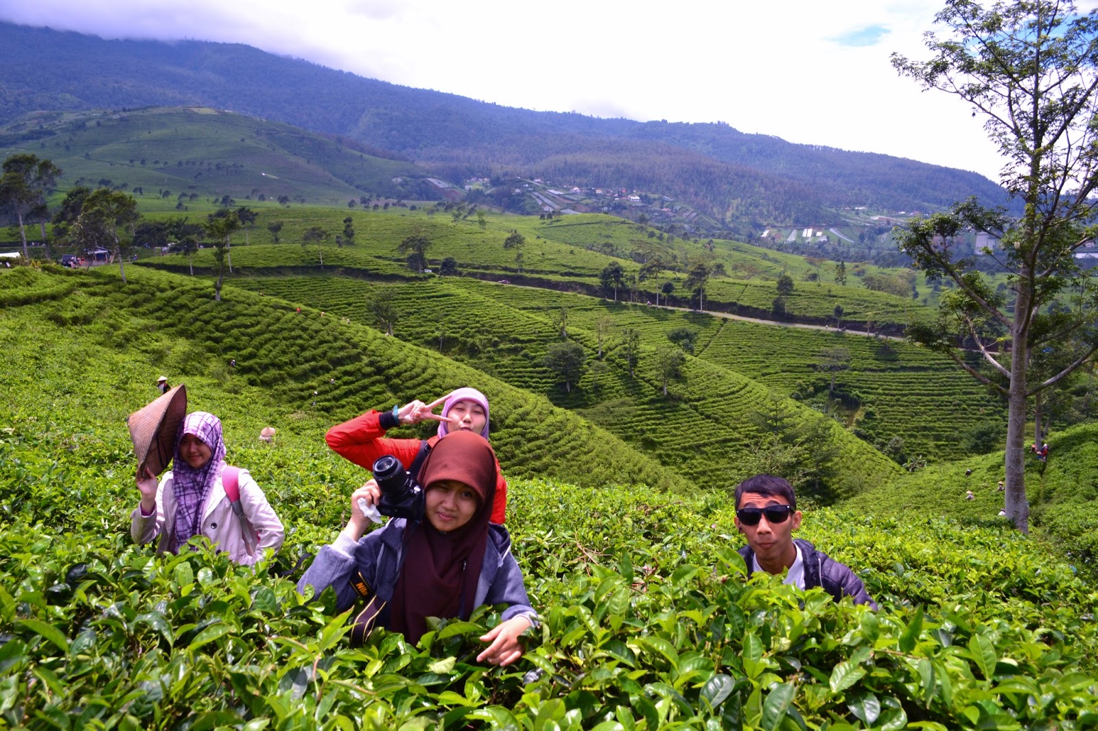 Perjalanan Hidup Wisata Kuliner Dan Fotografi Bukit Batu Jamus