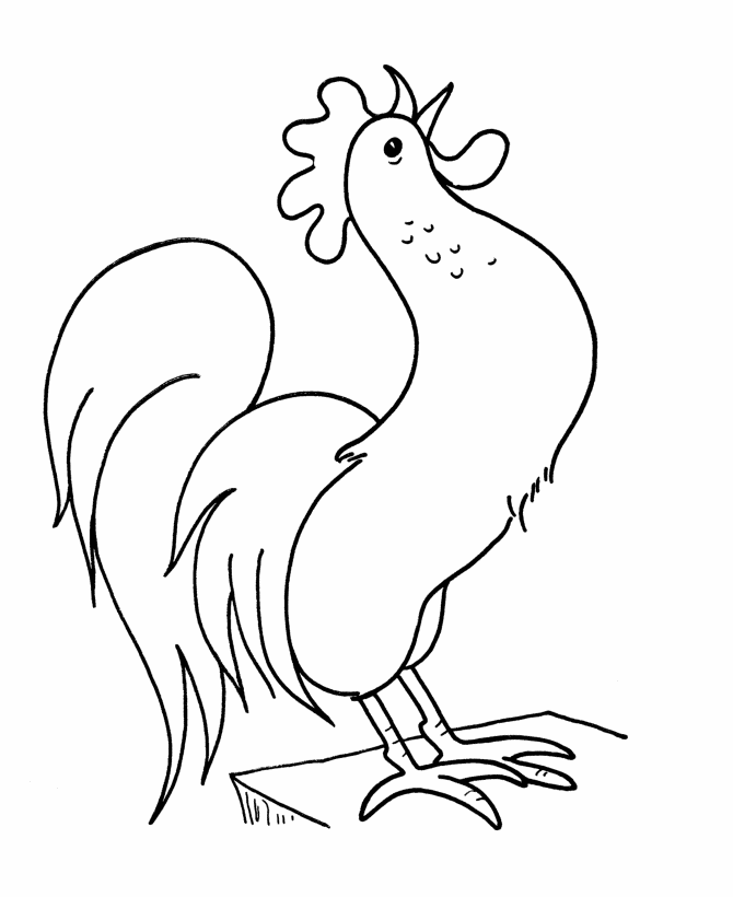 Funny Rooster Coloring Pages For Kids