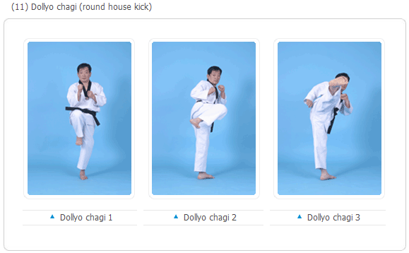 Gerakan Dasar Taekwondo (Basic Movements) ~ DEMOS Martial ARTS School