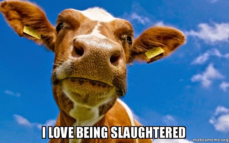 Capitalism Explained from 12 Different Countries Using Cows