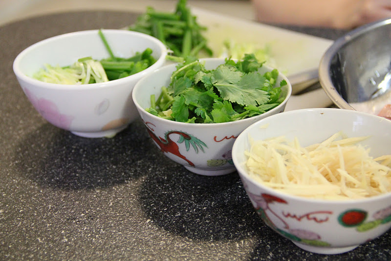 Tummy Thrills Steamed Fish with Sweet Soy Sauce