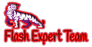 Flash Expert Team