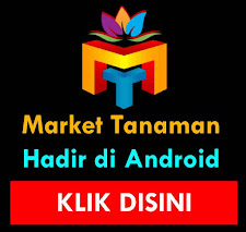 MARKET TANAMAN Store