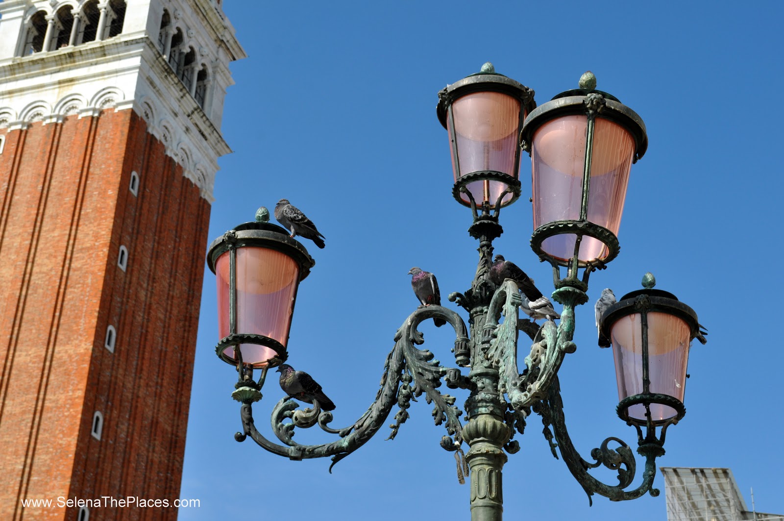 Piazzo San Marco in Venice