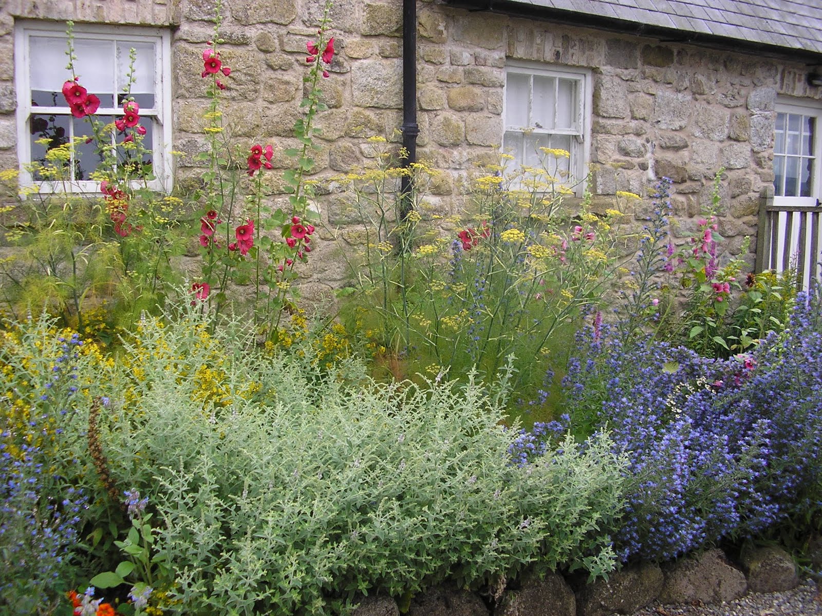 Kilgraney House Herbs can be beautiful and healingGreenside Up