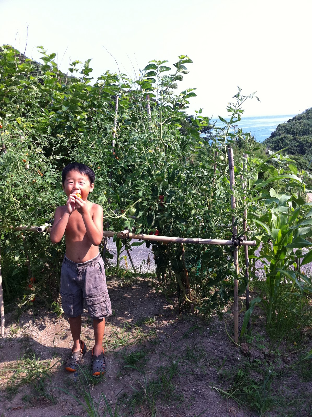 Kalavinkamusic 寝起きの立ちション