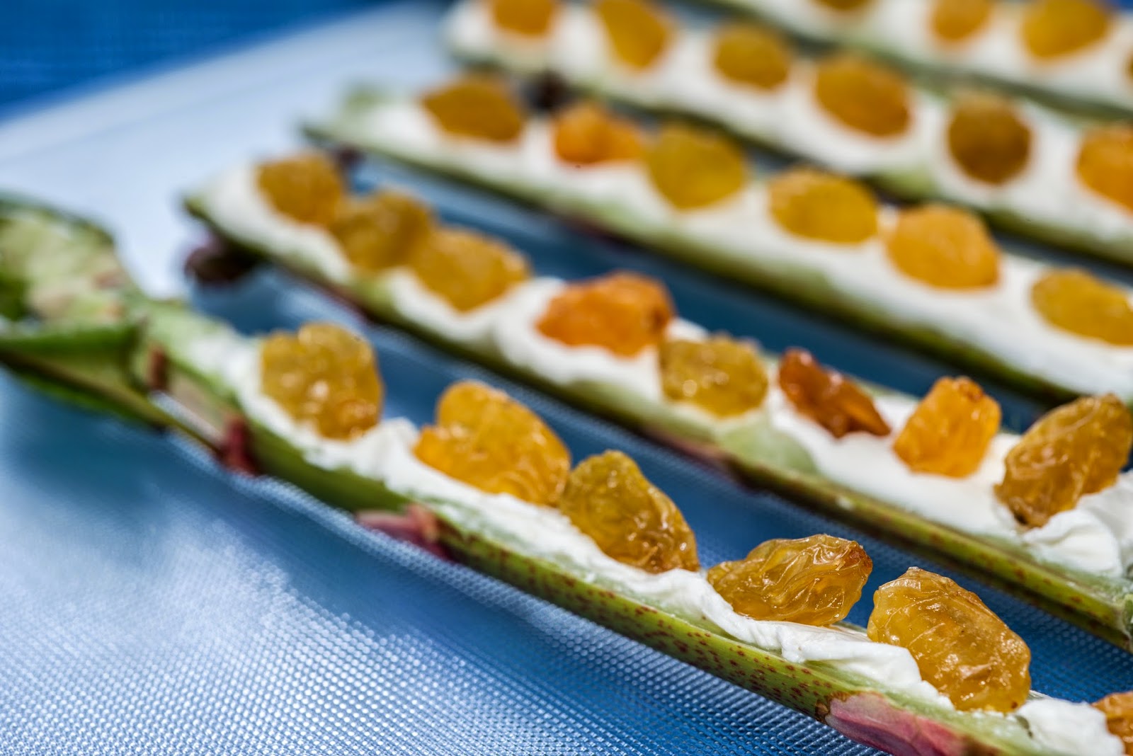 The 3 Foragers Foraging for Wild, Natural, Organic Food Japanese