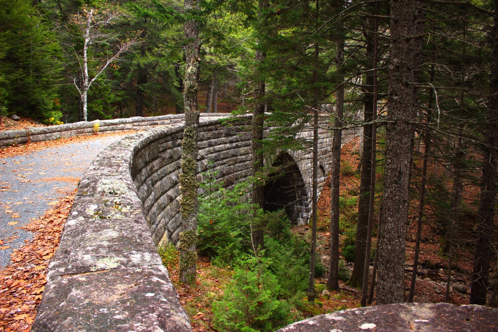 6 Strings 24 Frames Schiele Jahr 2018 Samtliche Gemalde 1909 1918
