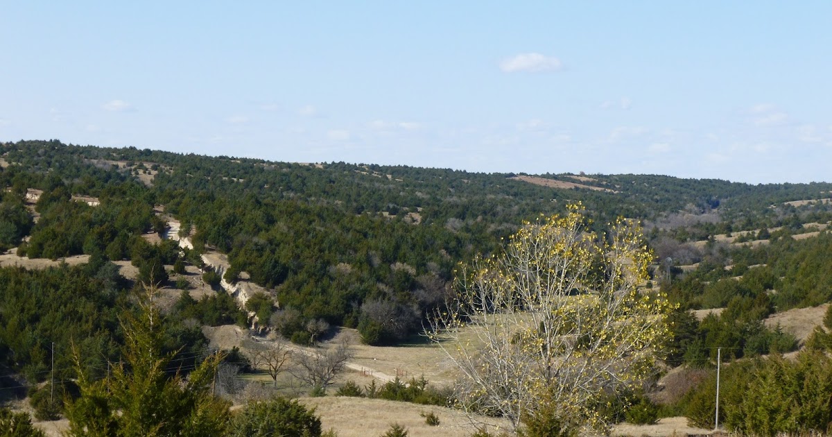 Sunday Stories Jens Neils Jensen