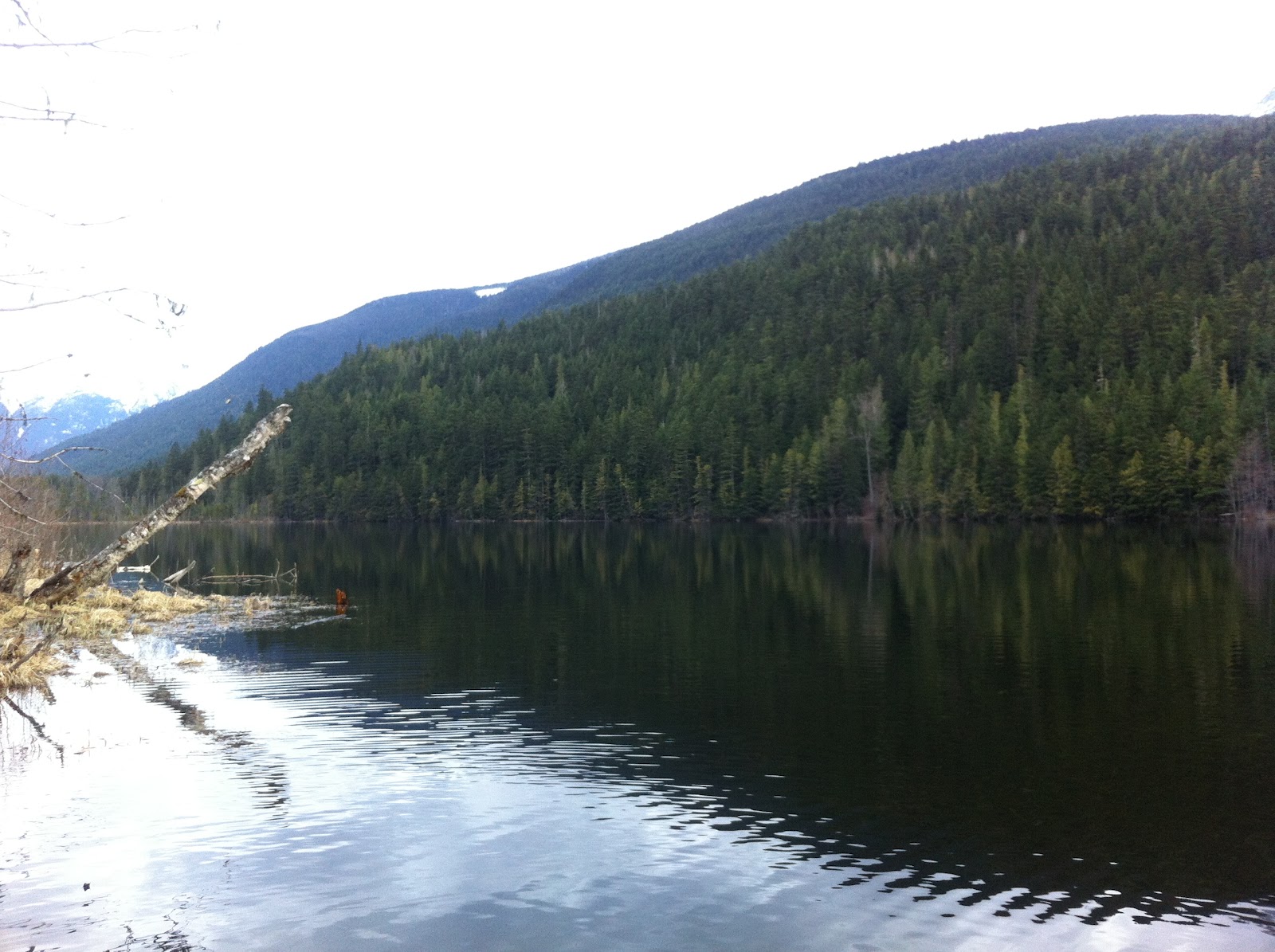 Pemberton Fish Finder, BC Fishing Reports, Whistler, Pemberton