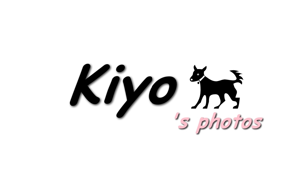 Kiyo