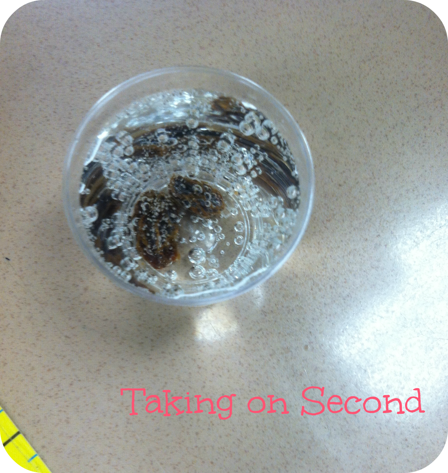 Dancing Raisins Taking on Second