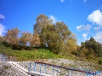 Итоги 83-й недели инвестирования в ПАММ-счета Fx-trend