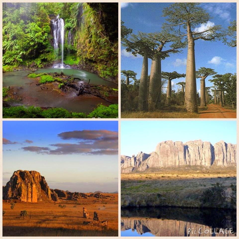 Pamela M's AP Environmental Science Blog Biodiversity Hotspots Madagascar