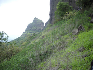 Kalavantin Durg Pinnacle as seen while trekking to  Prabalgad Fort.