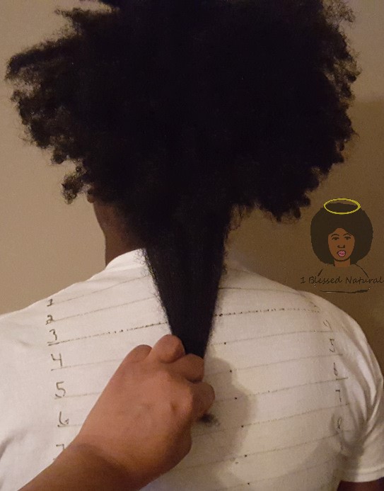 2016 Natural Hair Length Check And Goals