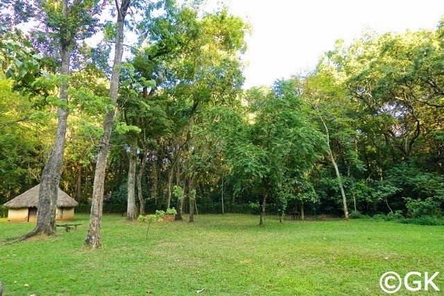 Camp im Kamega Forest Reserve beim Isecheno Gate
