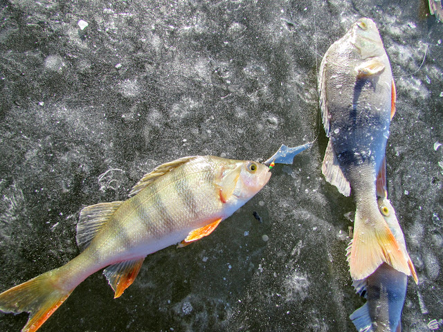 IMG_5898.JPG