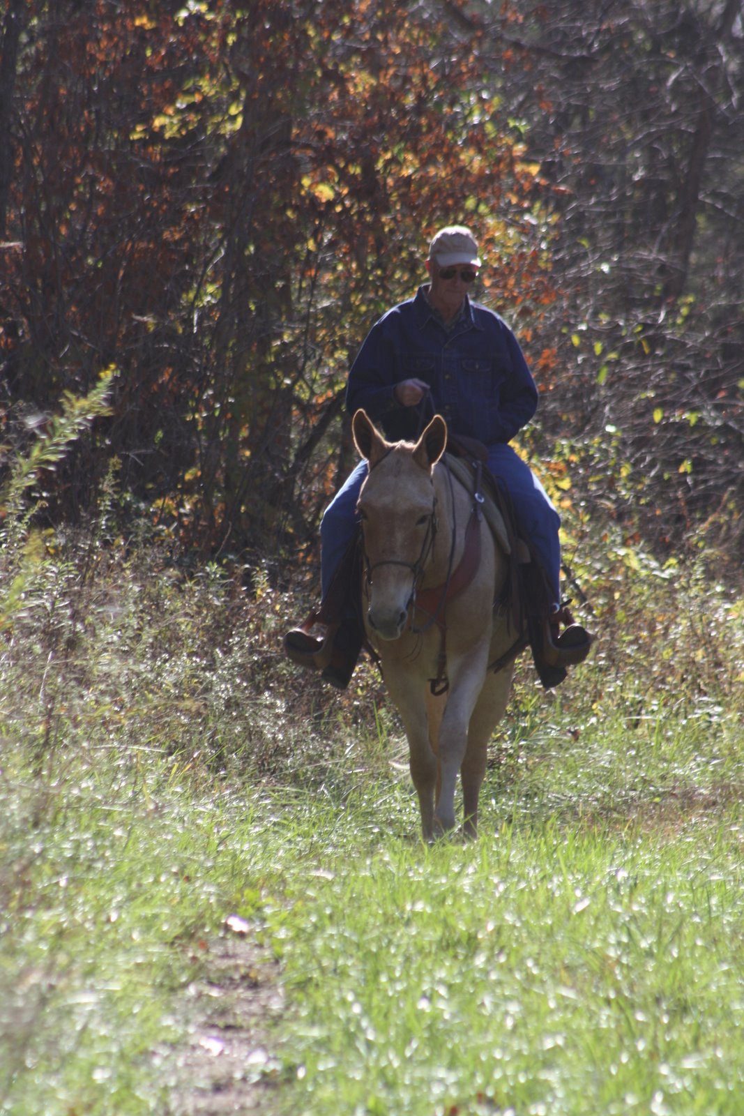 PairADice Mules: Trail Riding
