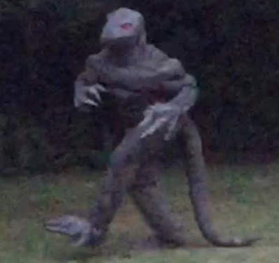 Swamp Lizard Famous Swamp Lizard Captured On Camera 2015, UFO Sighting News