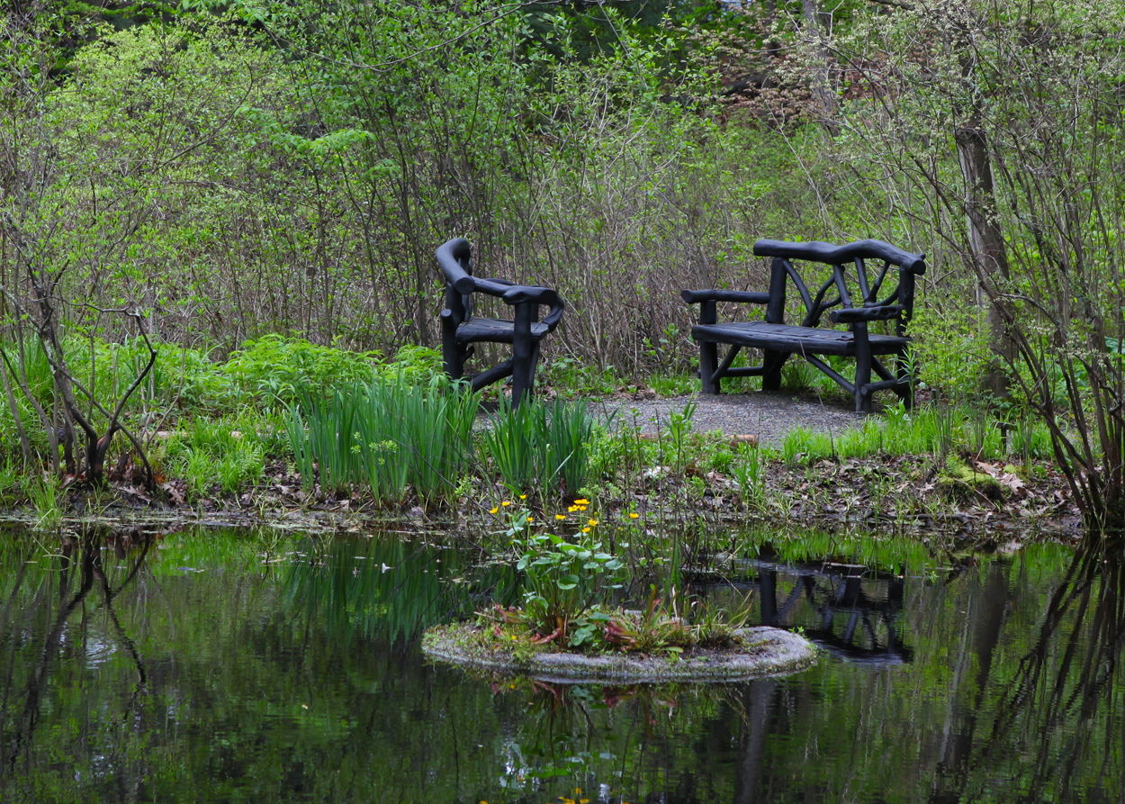 Kathleen Matthews Milstein Photography Garden in the Woods