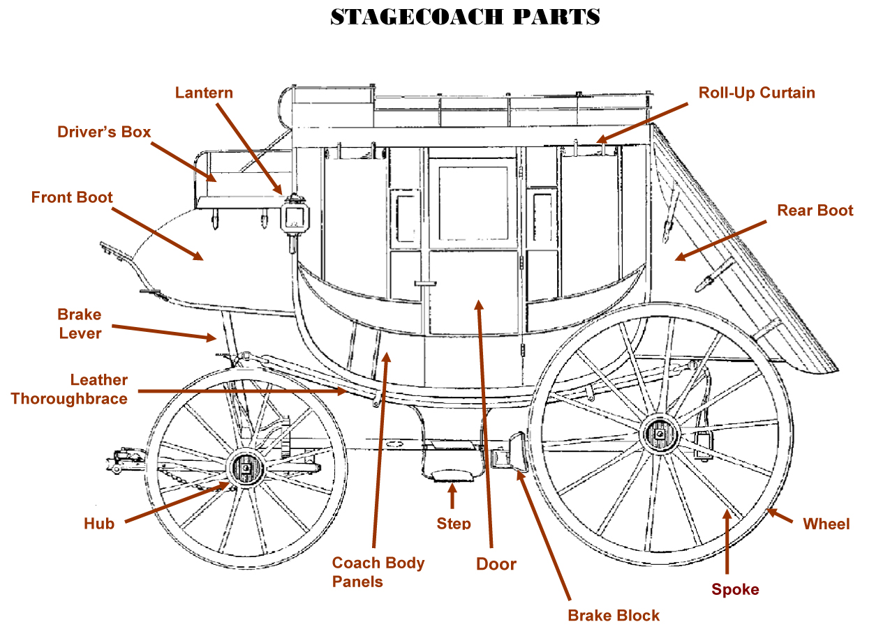 Writs R Wrought Anatomy Lesson