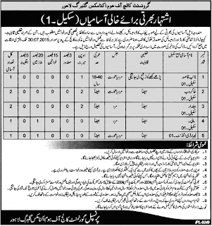 GOVERNMENT COLLEGE FOR HOME ECNOMICS JOBS