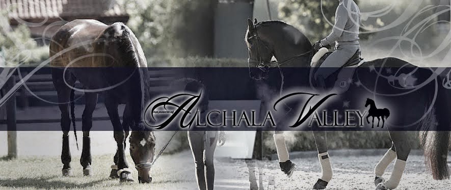 Alchala Valley Stable