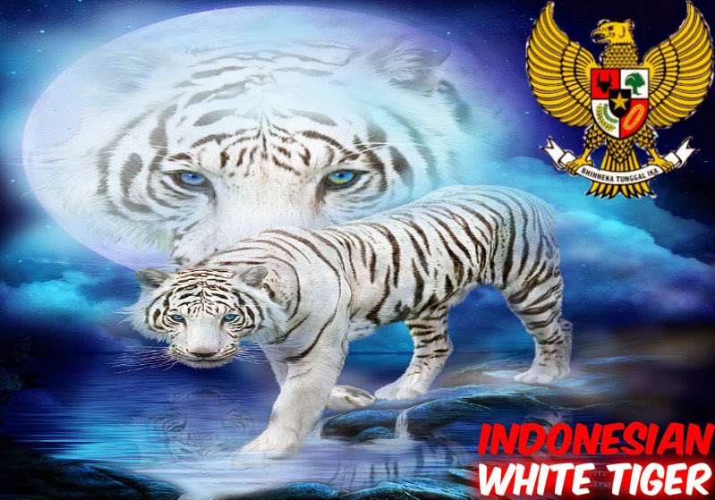 Indonesian White Tiger