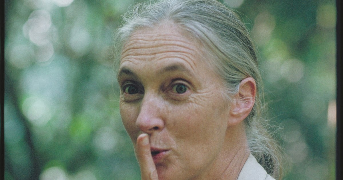 Alessandro vichi thesis 02 picture