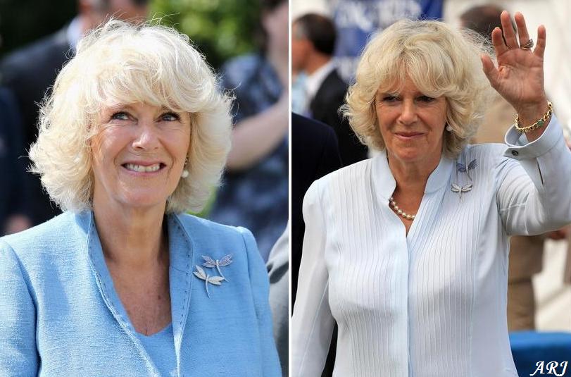 148772510-camilla-duchess-of-cornwall-smiles-as-she-gettyimages.jpg