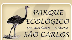 Educação Ambiental