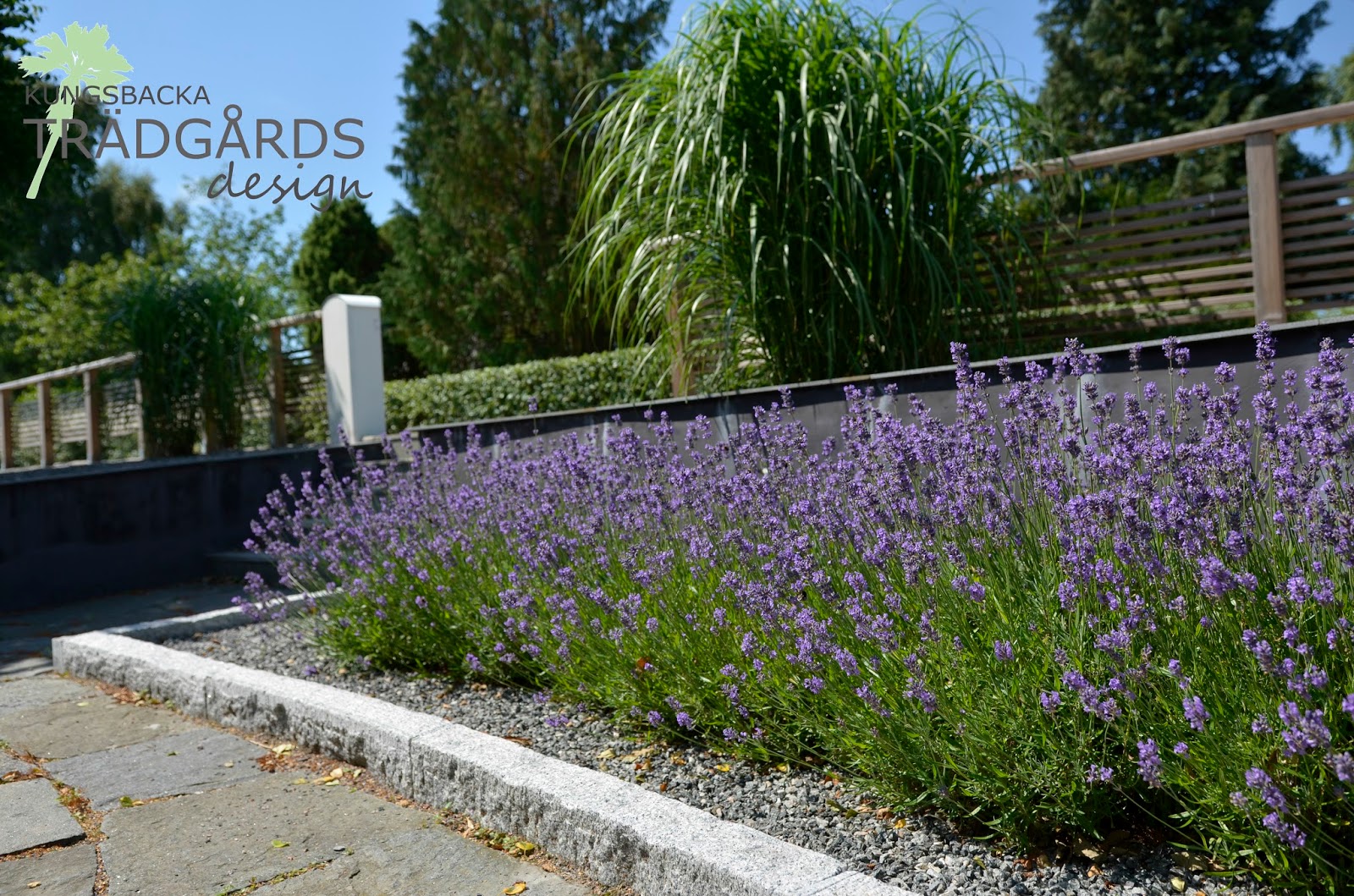 Kungsbacka trädgårdsdesign
