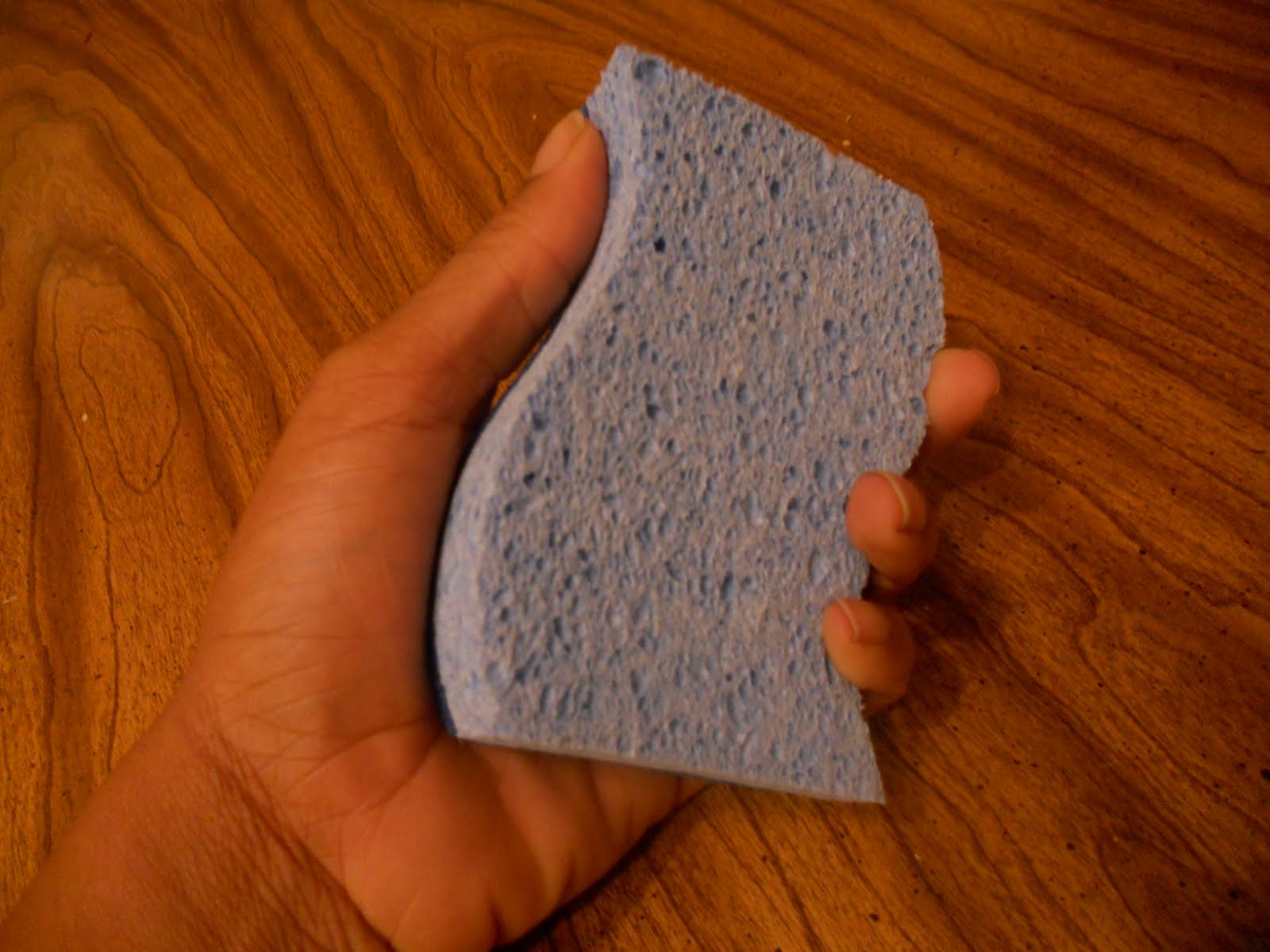 Alive Sponges