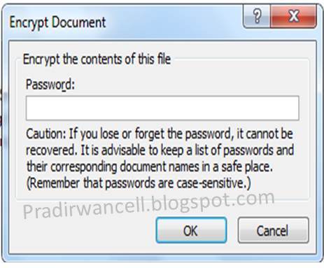 Cara Buka File Excel 2010 Yang Di Password Finder
