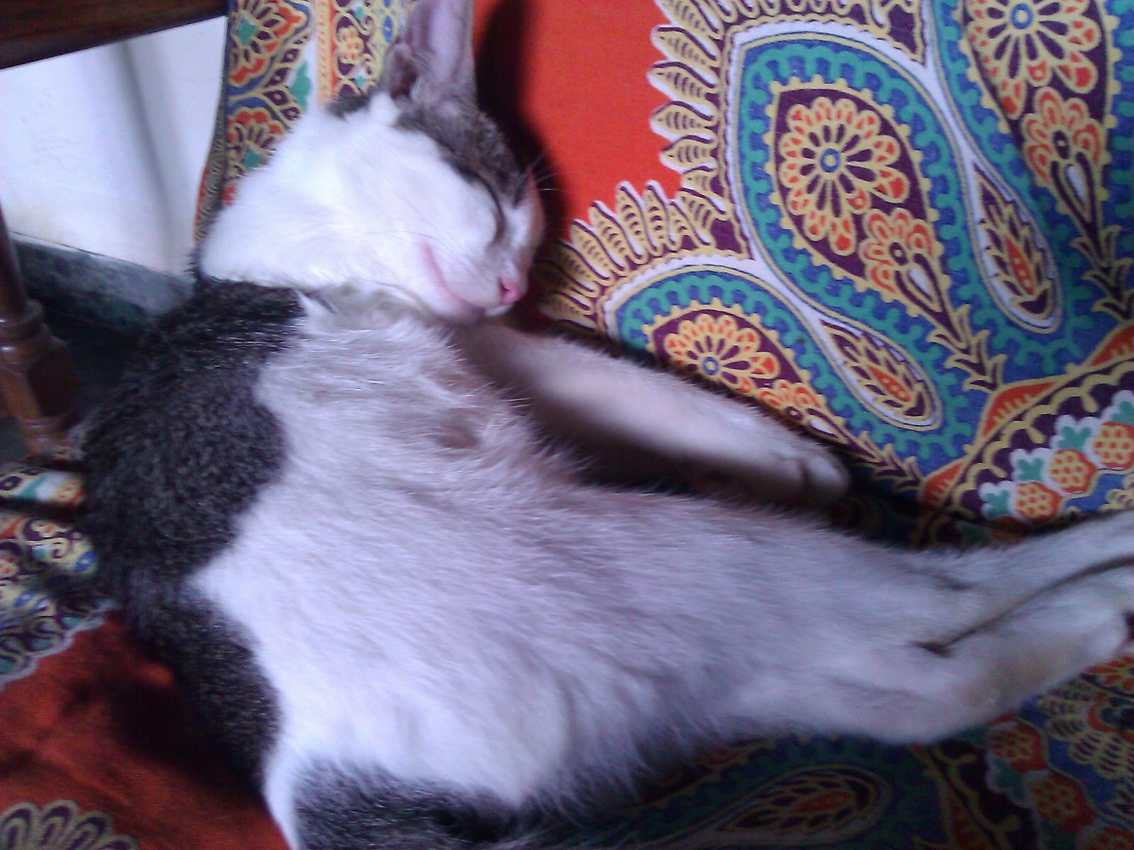 prostitute wagholi pune