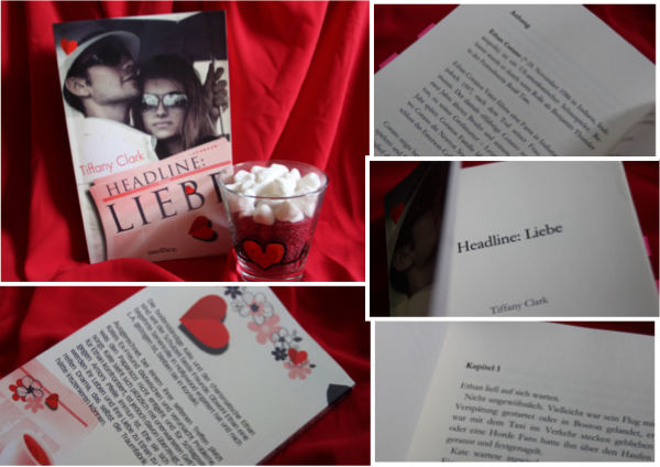 Buch Lady De Sandbergs Liebe Jan Drees