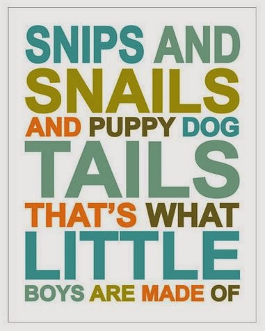 snips and snails and puppy dog tails...