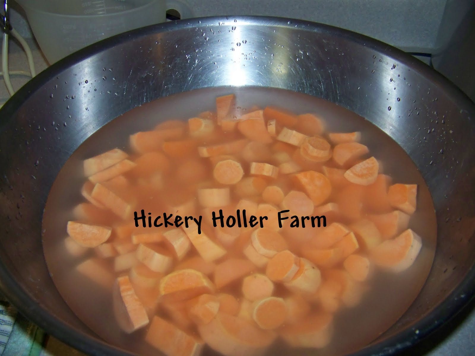 Hickery Holler Farm Canning Sweet Potatoes