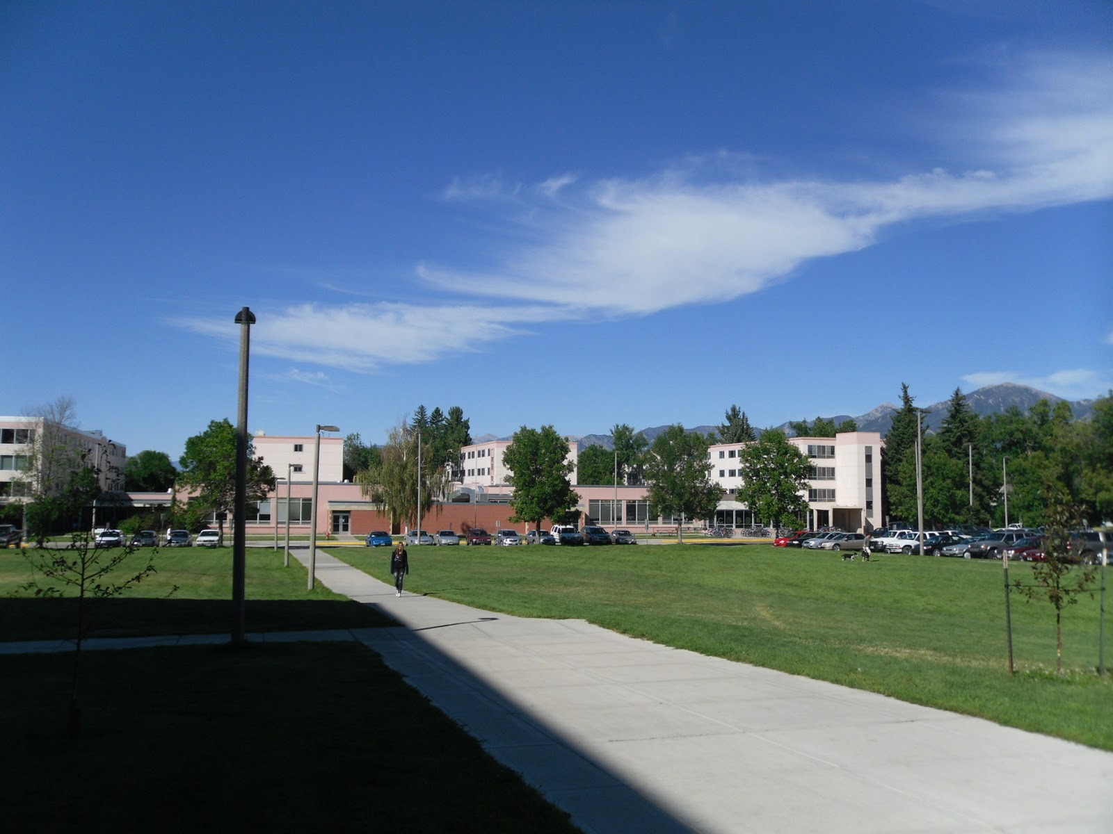 Bozeman University