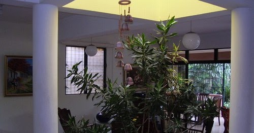 Decoración de interiores: Jardín Interior