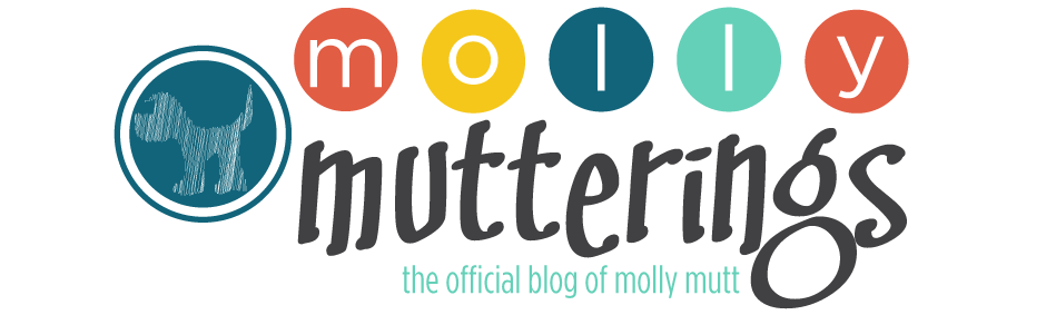 mollycoddled mutterings: molly mutt's blog