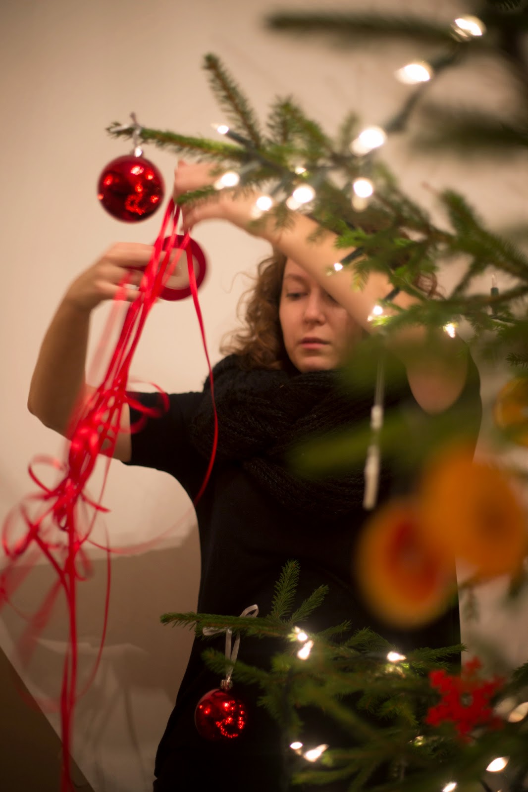 Gwiazdka w Puszczy - Ania w Podróży